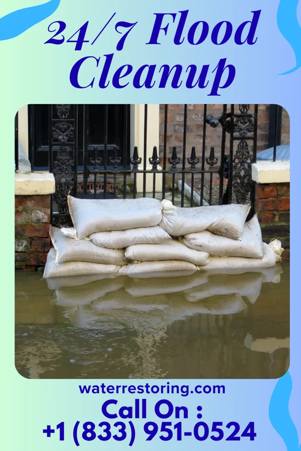 24/7 Flood Cleanup in Del Rio, TX