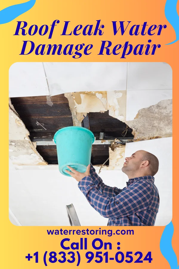 Roof Leak Water Damage Repair in Del Rio, TX